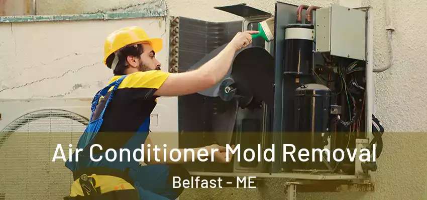  Air Conditioner Mold Removal Belfast - ME