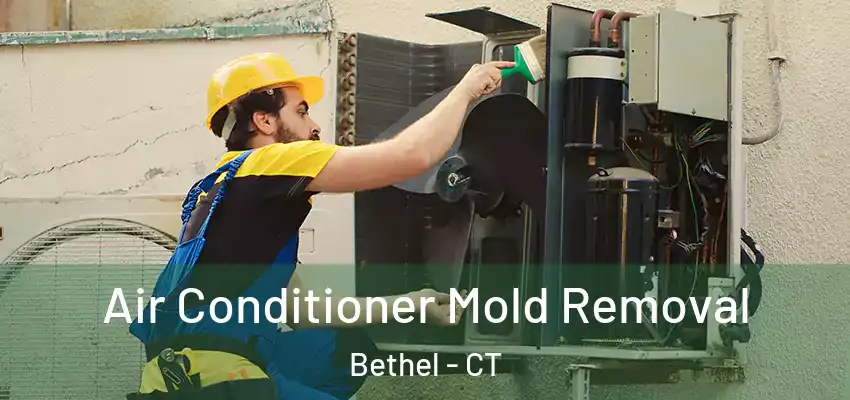  Air Conditioner Mold Removal Bethel - CT