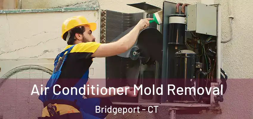  Air Conditioner Mold Removal Bridgeport - CT