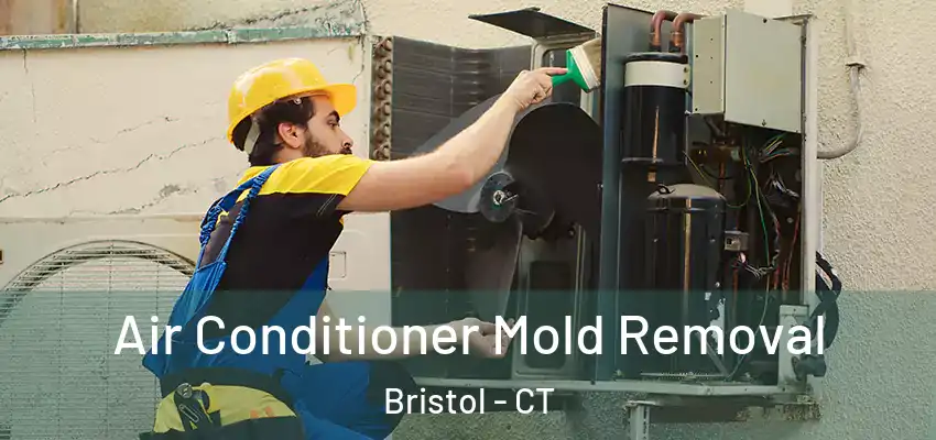  Air Conditioner Mold Removal Bristol - CT
