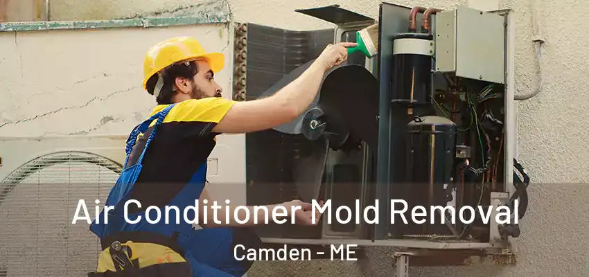  Air Conditioner Mold Removal Camden - ME