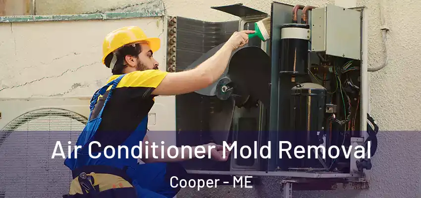 Air Conditioner Mold Removal Cooper - ME