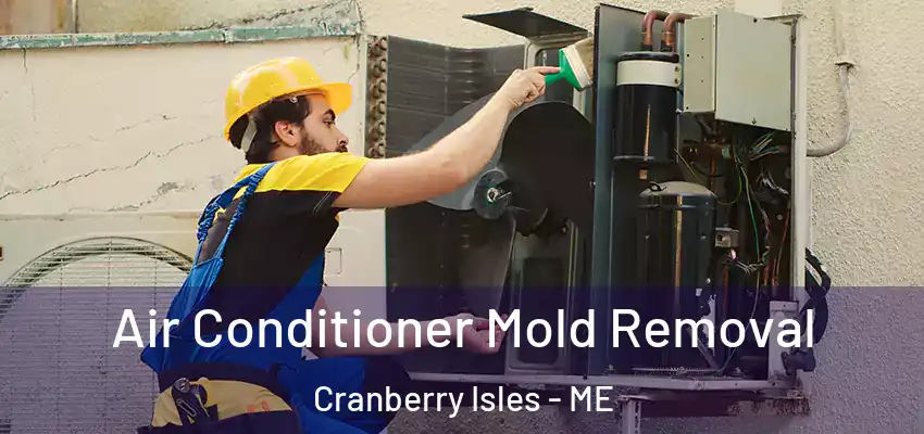  Air Conditioner Mold Removal Cranberry Isles - ME