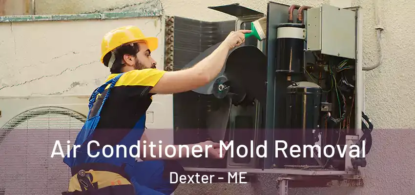 Air Conditioner Mold Removal Dexter - ME