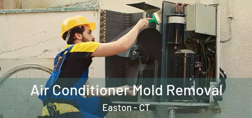 Air Conditioner Mold Removal Easton - CT