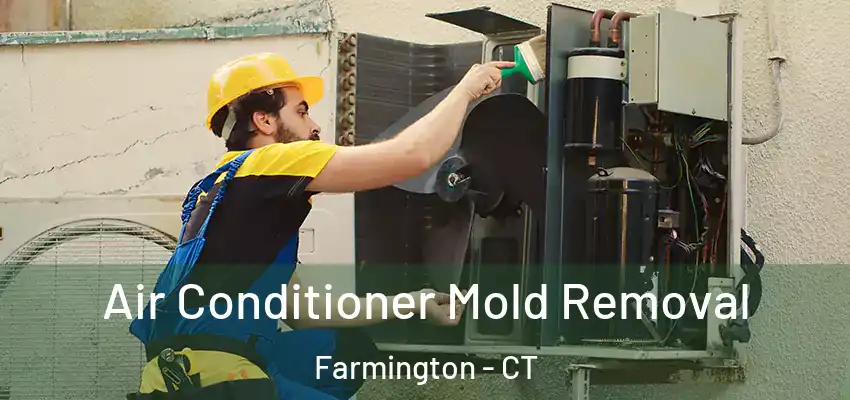  Air Conditioner Mold Removal Farmington - CT