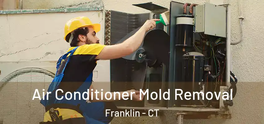 Air Conditioner Mold Removal Franklin - CT