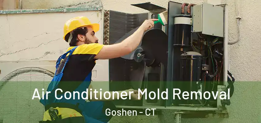  Air Conditioner Mold Removal Goshen - CT