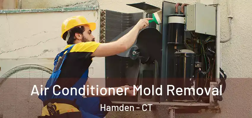 Air Conditioner Mold Removal Hamden - CT