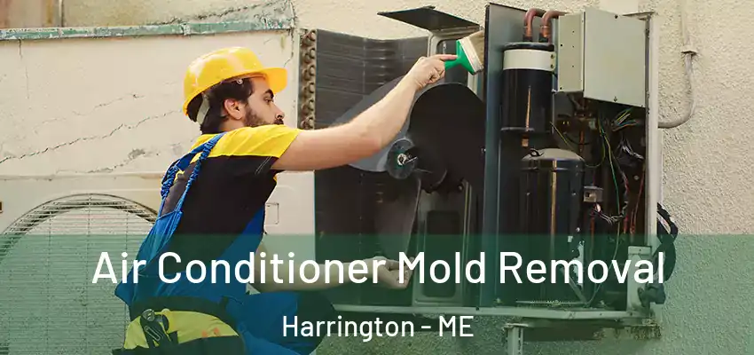 Air Conditioner Mold Removal Harrington - ME