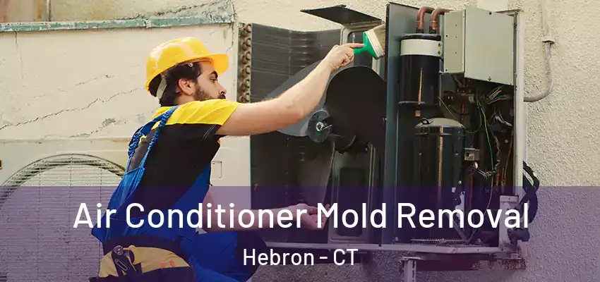 Air Conditioner Mold Removal Hebron - CT