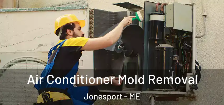  Air Conditioner Mold Removal Jonesport - ME