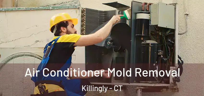 Air Conditioner Mold Removal Killingly - CT