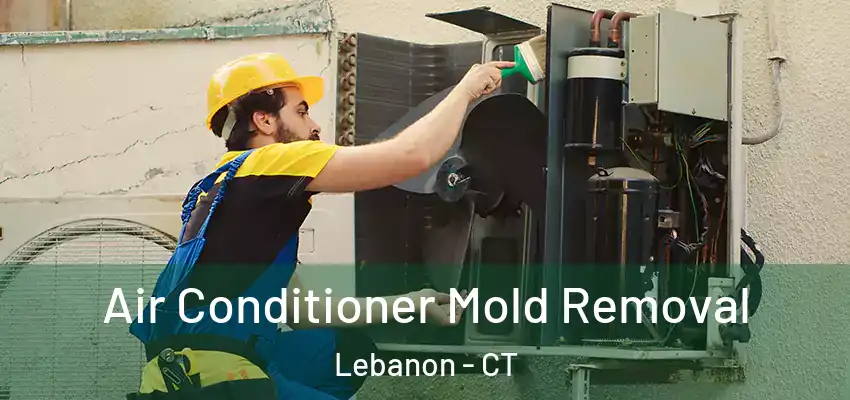 Air Conditioner Mold Removal Lebanon - CT