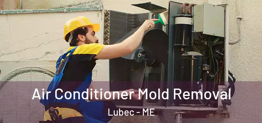  Air Conditioner Mold Removal Lubec - ME