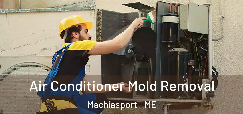 Air Conditioner Mold Removal Machiasport - ME