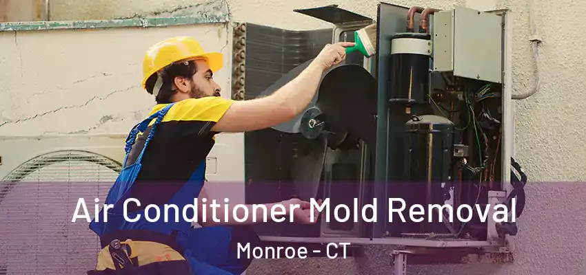  Air Conditioner Mold Removal Monroe - CT