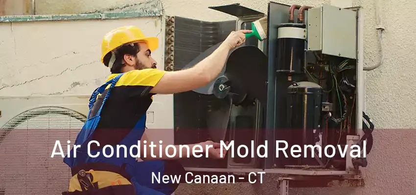  Air Conditioner Mold Removal New Canaan - CT