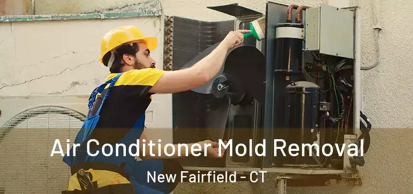 Air Conditioner Mold Removal New Fairfield - CT