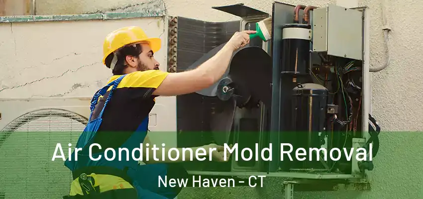 Air Conditioner Mold Removal New Haven - CT