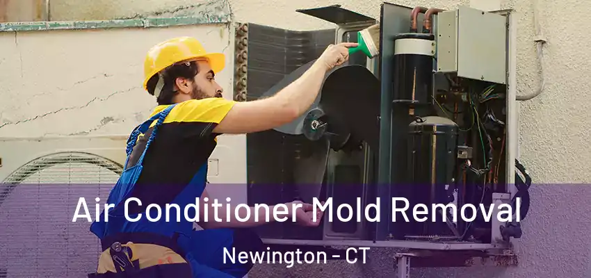  Air Conditioner Mold Removal Newington - CT