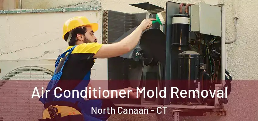  Air Conditioner Mold Removal North Canaan - CT
