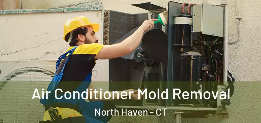 Air Conditioner Mold Removal North Haven - CT
