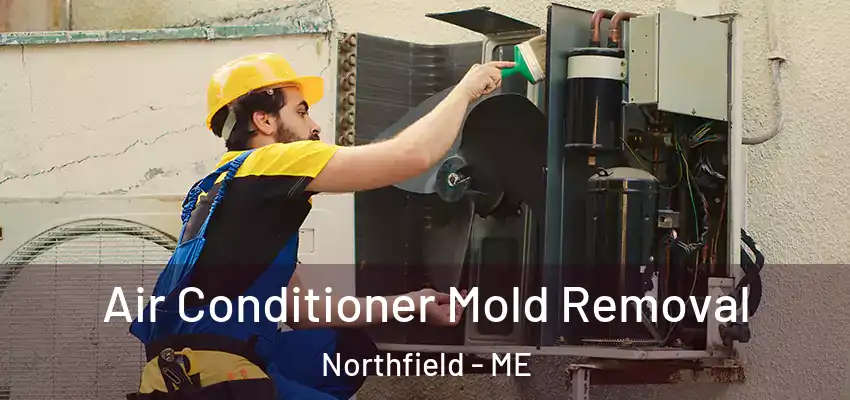 Air Conditioner Mold Removal Northfield - ME