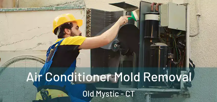  Air Conditioner Mold Removal Old Mystic - CT