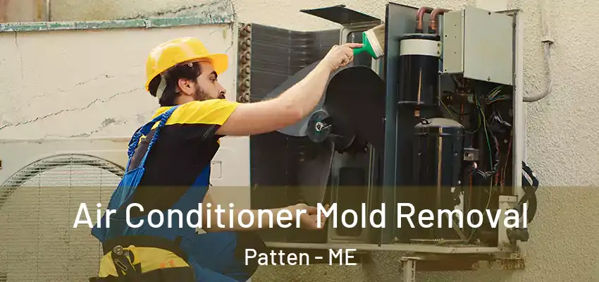  Air Conditioner Mold Removal Patten - ME