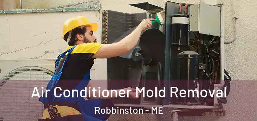  Air Conditioner Mold Removal Robbinston - ME