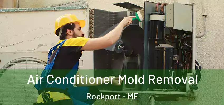  Air Conditioner Mold Removal Rockport - ME