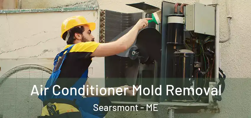  Air Conditioner Mold Removal Searsmont - ME