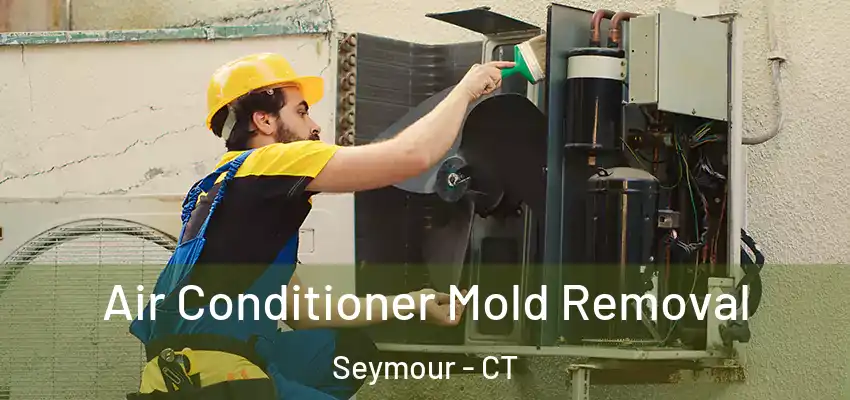 Air Conditioner Mold Removal Seymour - CT