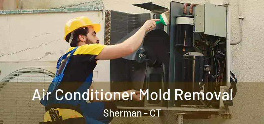  Air Conditioner Mold Removal Sherman - CT