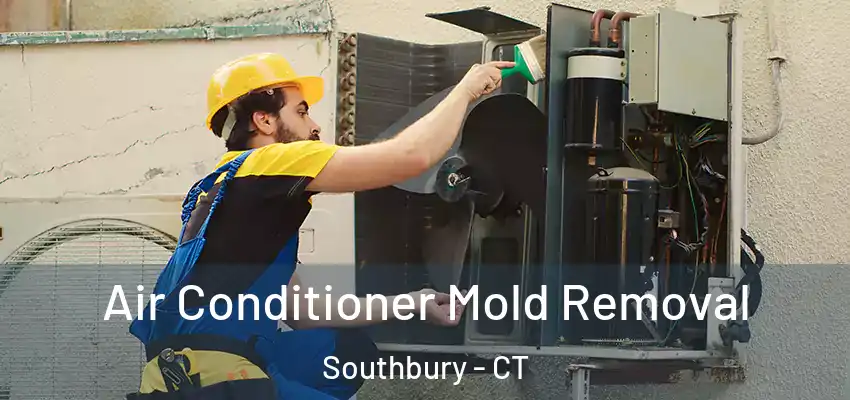  Air Conditioner Mold Removal Southbury - CT