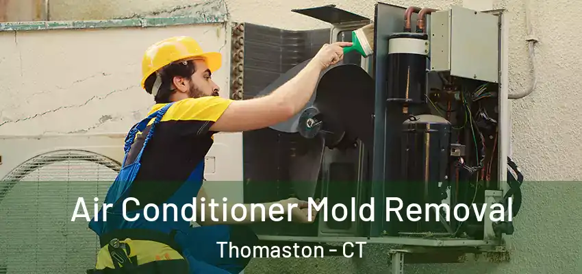 Air Conditioner Mold Removal Thomaston - CT