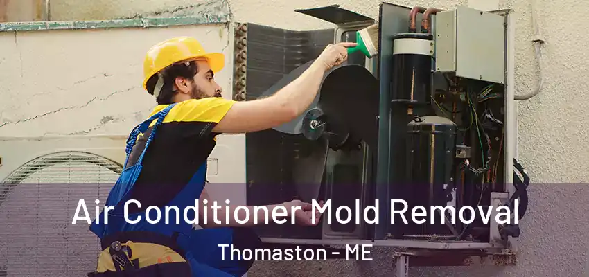  Air Conditioner Mold Removal Thomaston - ME
