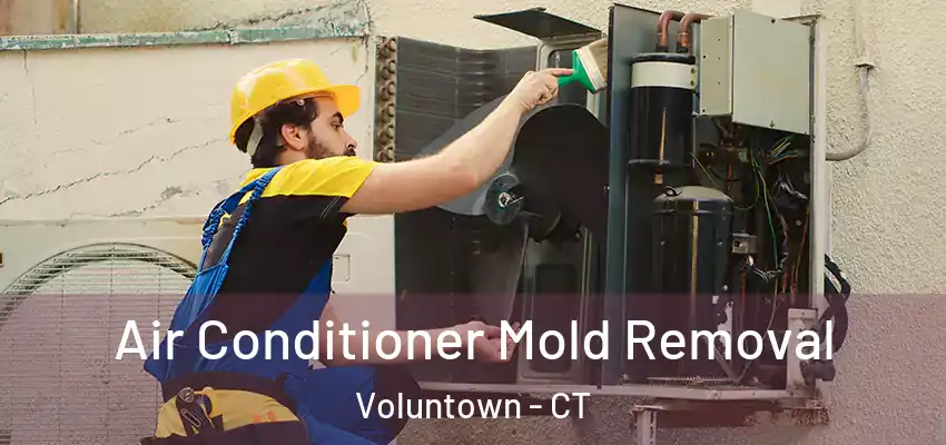 Air Conditioner Mold Removal Voluntown - CT