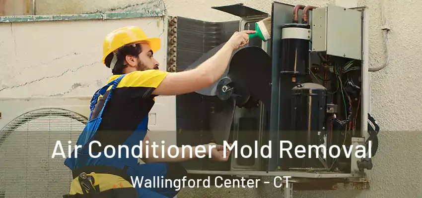 Air Conditioner Mold Removal Wallingford Center - CT