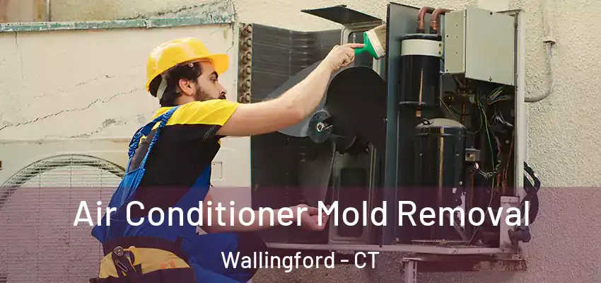  Air Conditioner Mold Removal Wallingford - CT