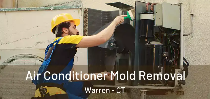Air Conditioner Mold Removal Warren - CT