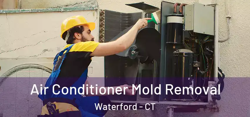  Air Conditioner Mold Removal Waterford - CT