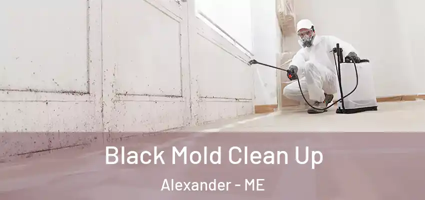 Black Mold Clean Up Alexander - ME