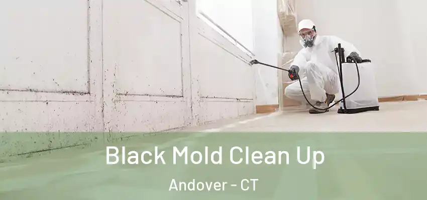 Black Mold Clean Up Andover - CT