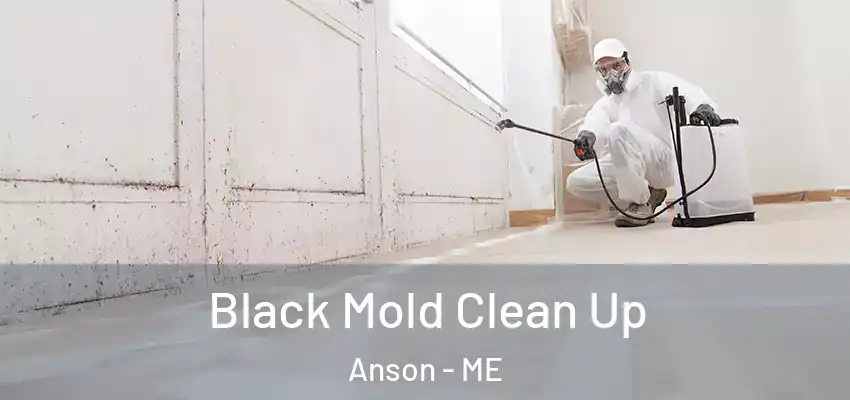  Black Mold Clean Up Anson - ME