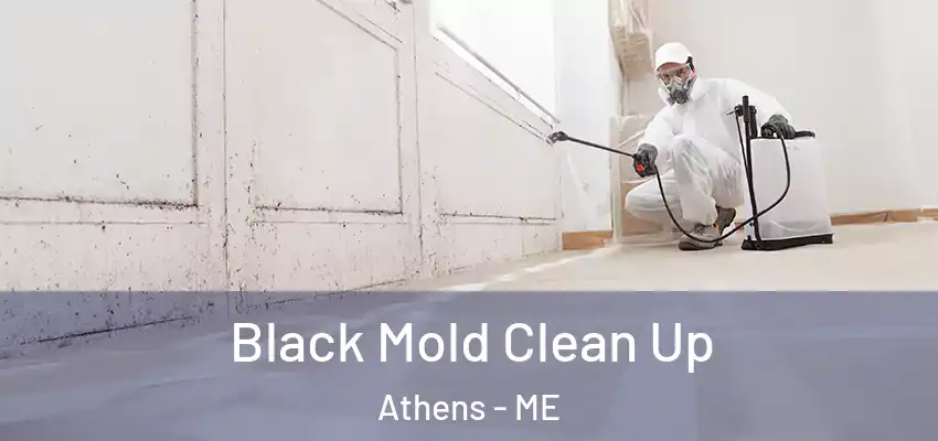 Black Mold Clean Up Athens - ME