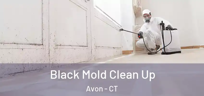 Black Mold Clean Up Avon - CT