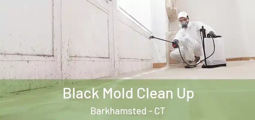 Black Mold Clean Up Barkhamsted - CT