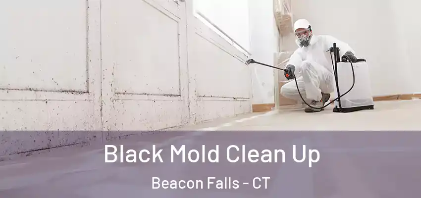  Black Mold Clean Up Beacon Falls - CT